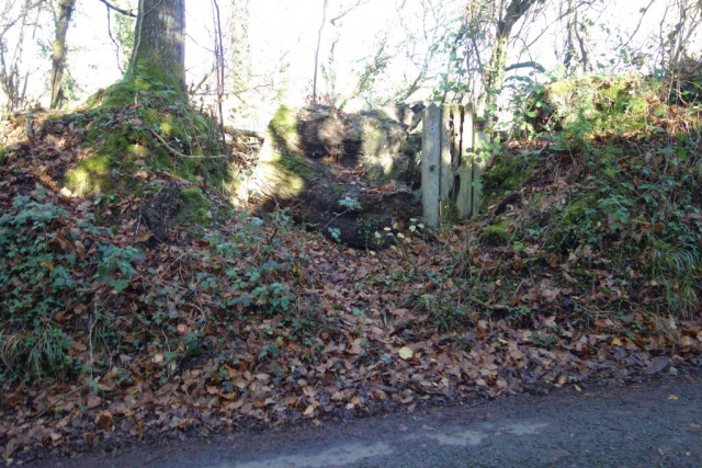 Dunsford Halt