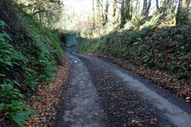 Dunsford Halt