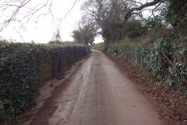 Polehouse Lane Bridge