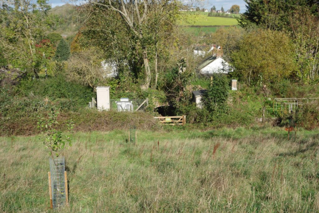 Teign Valley Branch