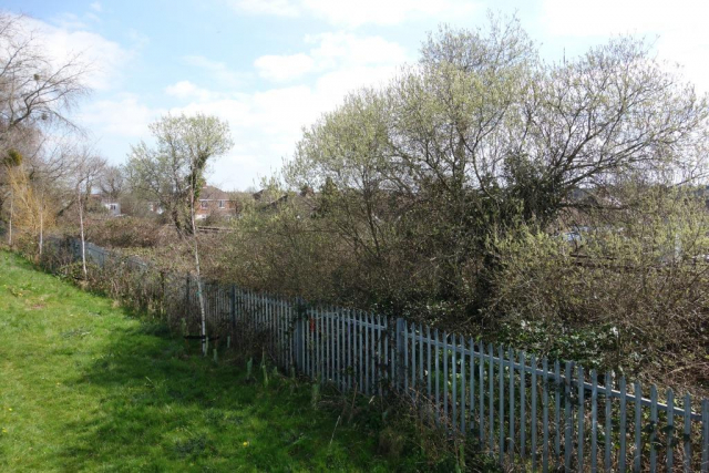 Whipton Bridge Halt