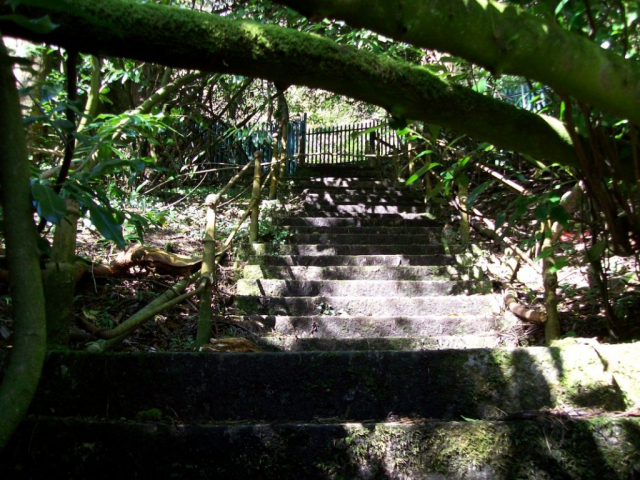 Ivybridge Station