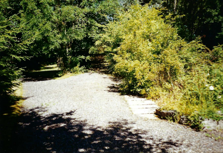 Christow Station