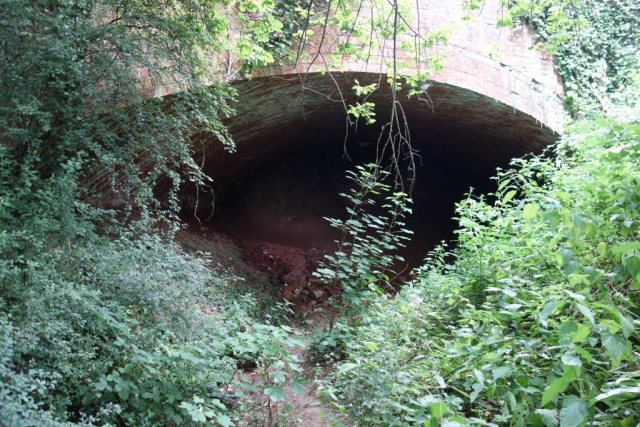 Culm Valley Branch