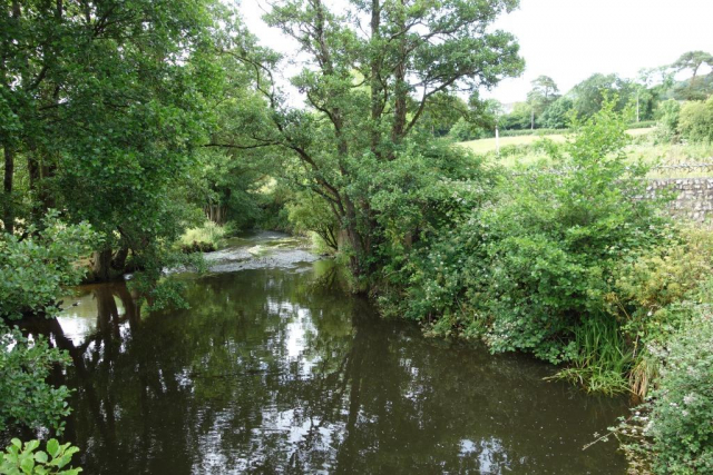 Culm Valley Branch