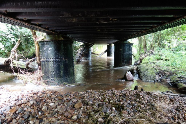 Culm Valley Branch