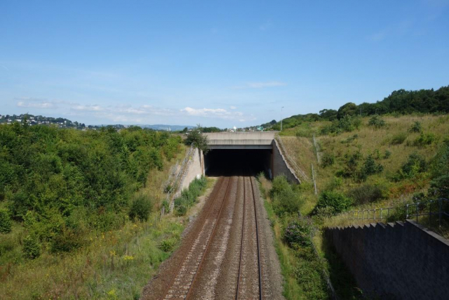 Kingswear Branch