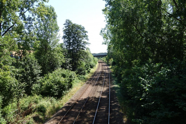 Kingswear Branch