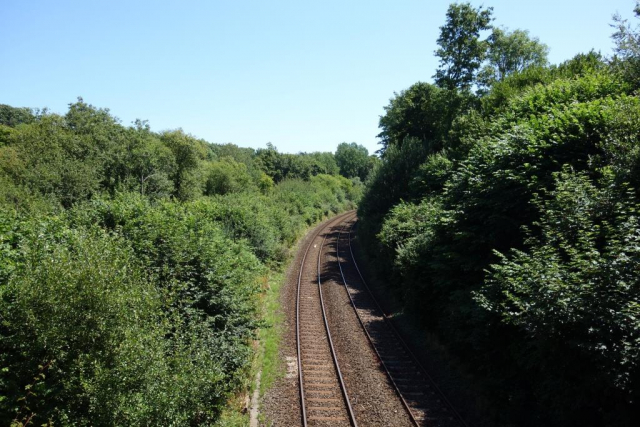 Kingswear Branch