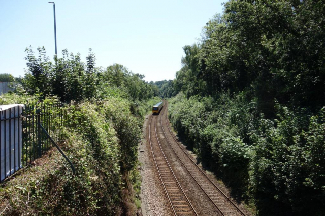 Kingswear Branch