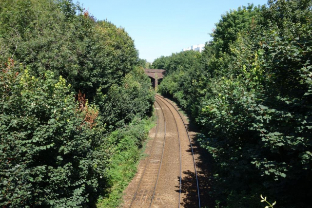 Kingswear Branch