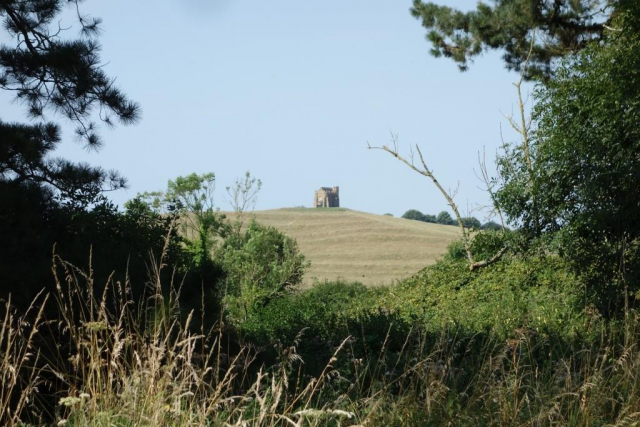 Abbotsbury Branch