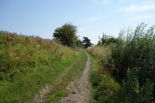 Abbotsbury Branch