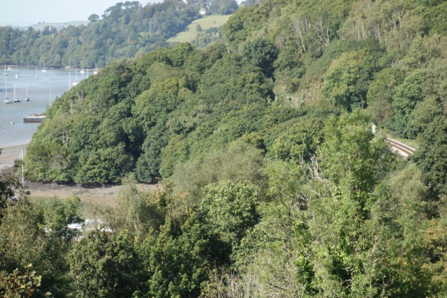 Kingswear Branch