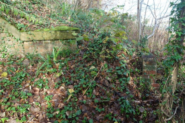 Clyst St. Mary & Digby Halt