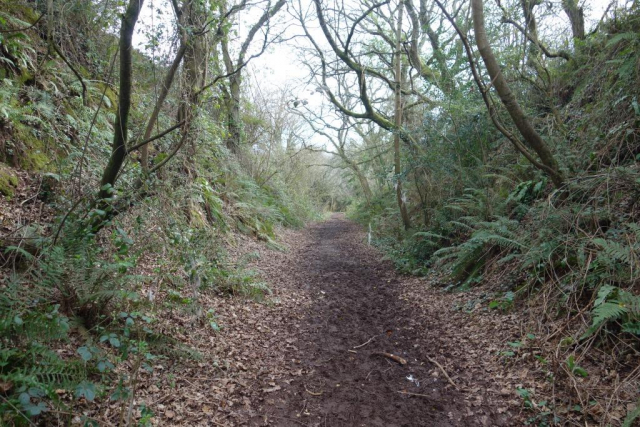 Halscombe Lane