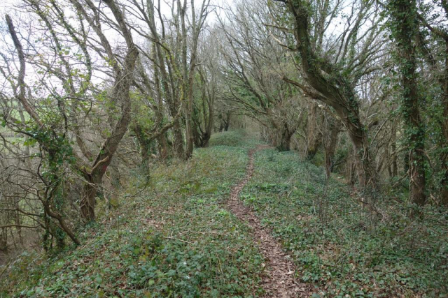 Halscombe Lane