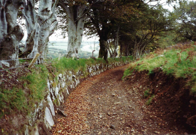 Okehampton Bypass