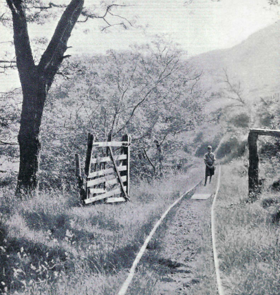 Talyllyn Railway