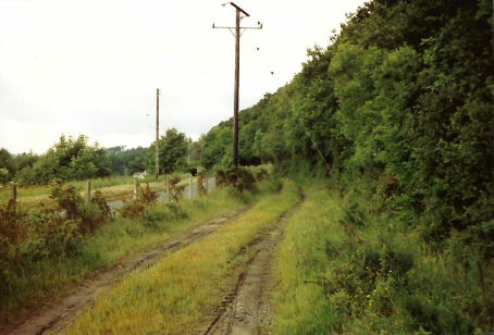 Teign Valley Branch